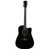 T.Burton Senger Texas W C BK akustick gitara