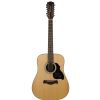 Richwood D-4012 akustick gitara