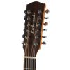 Richwood D-4012 akustick gitara