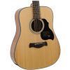 Richwood D-4012 akustick gitara