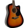 T.Burton Senger Texas W C BS akustick� gitara