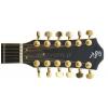 Baton Rouge R65 CE 12TS elektricko-akustick gitara