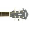 Ibanez AEL10E-BK elektricko-akustick� gitara