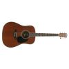 Burton W-34/N akustick gitara