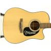 Takamine EG320SC-NS elektricko-akustick gitara