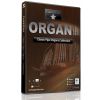 Garritan Classic Pipe Organ Collection