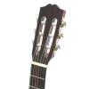 Buena Vista Celine klasick� gitara