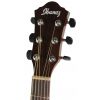 Ibanez AEW 40 CD NT elektricko-akustick gitara