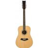 Morrison BD100-12 akustick gitara