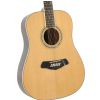 Morrison BD100-12 akustick gitara