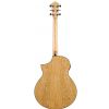 Ibanez AEW 40 AS NT elektricko-akustick gitara