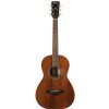 Ibanez AVN 2 OPN akustická gitara Ibanez AVN 2 OPN akustická gitara