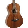 Ibanez AVN 2 OPN akustická gitara Ibanez AVN 2 OPN akustická gitara