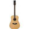 Morrison MBD100-12 akustick gitara