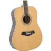 Morrison MBD100-12 akustick gitara