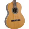 Cuenca 10 cedr klasick� gitara